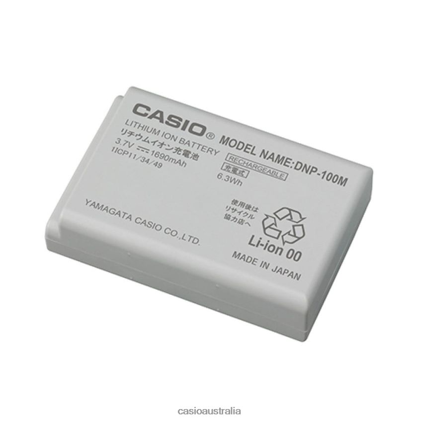 Casio DNP-100M 8P8HRV1057