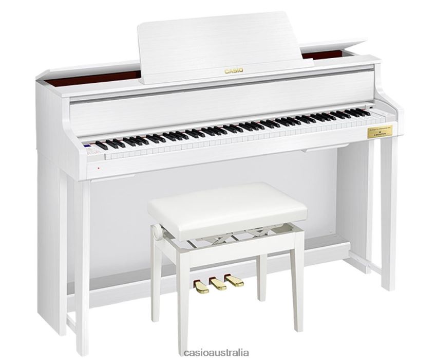 Casio GP-310WE 8P8HRV995