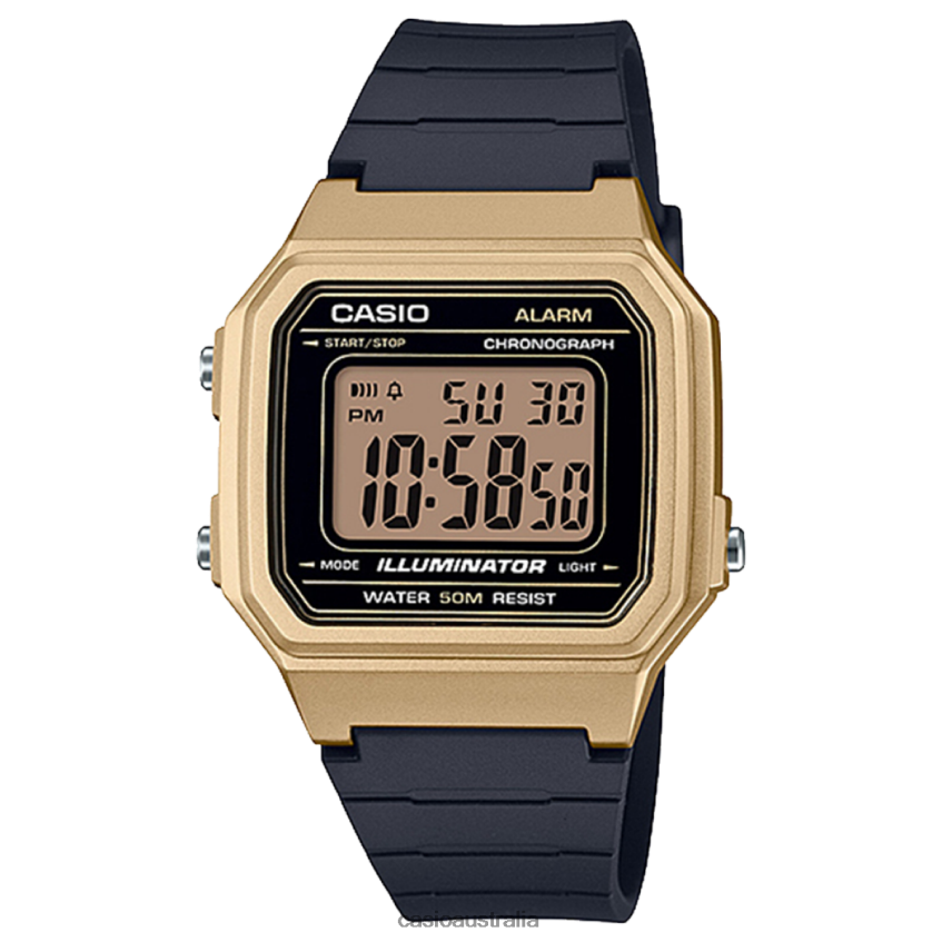 Casio W217HM-9AV 8P8HRV663